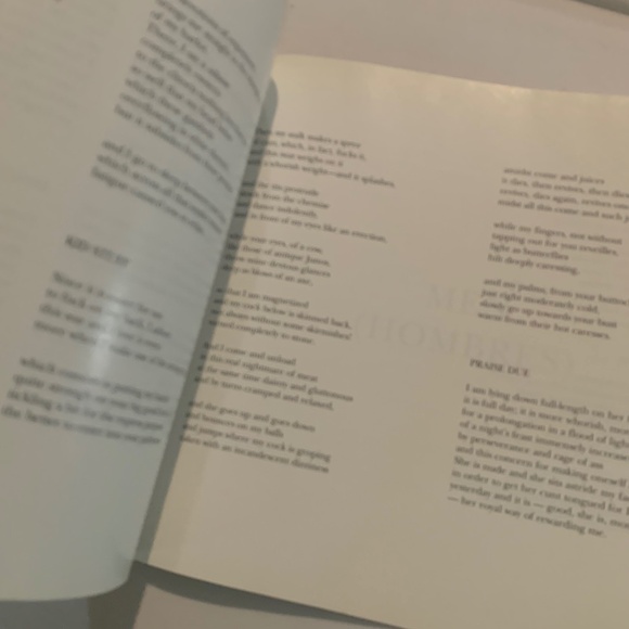 Vintage Book "Women/Men (Femmes/Hombres) The Erotic Poetry of Paul Verlaine" - Picture 6 of 8